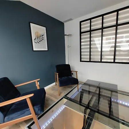 Appartement Magnifique Duplex De 135 M2 Pour Vos Sejours Jusqu'a 10 A Lourdes