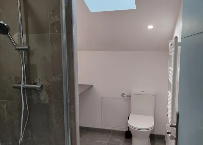 Magnifique Duplex De 135 M2 Pour Vos Séjours Jusqu'à 10 à Lourdes